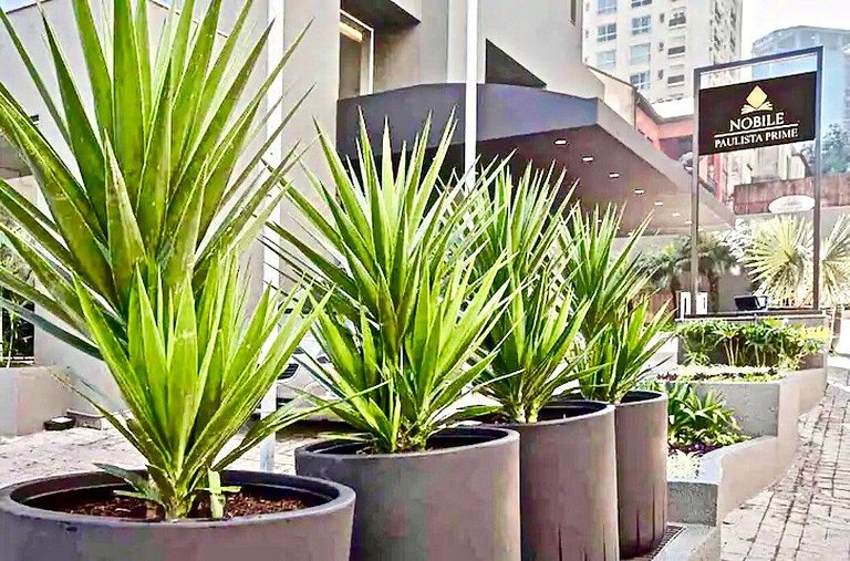 Flat Whynd Paulista Al Campinas 540